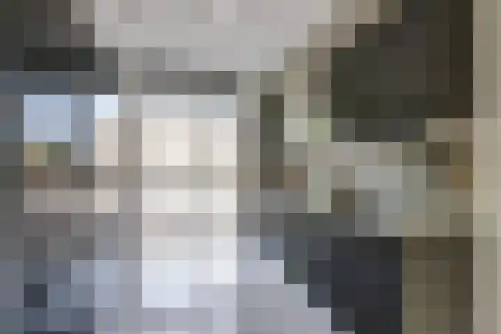 Briellestraat 18 Berkel en Rodenrijs thumbnail 9