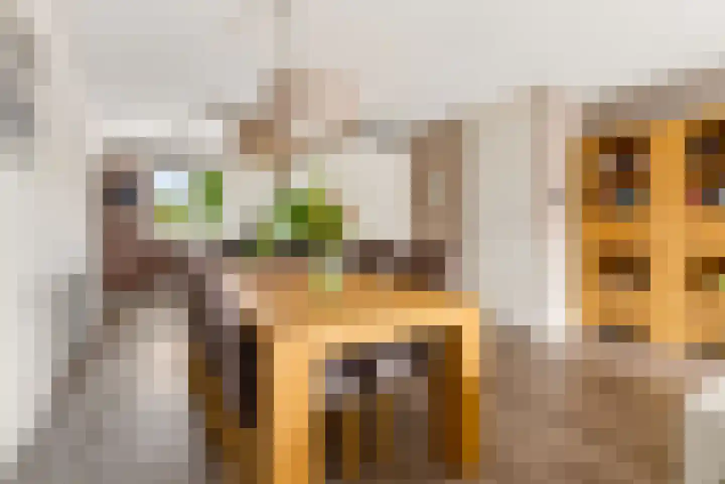 Briellestraat 44 Berkel en Rodenrijs thumbnail 11