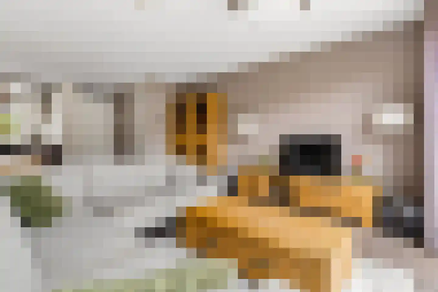 Briellestraat 44 Berkel en Rodenrijs thumbnail 13