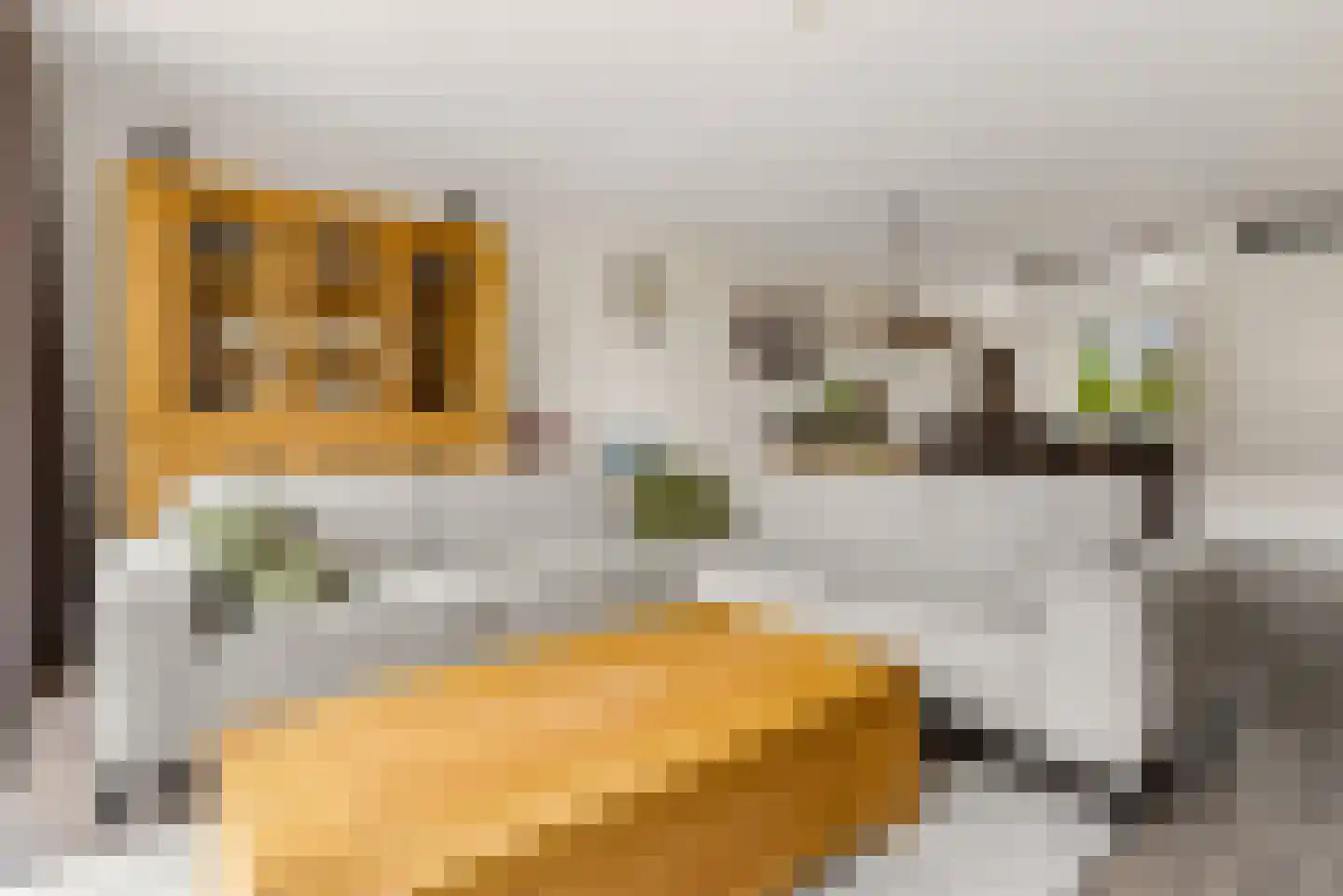Briellestraat 44 Berkel en Rodenrijs thumbnail 14