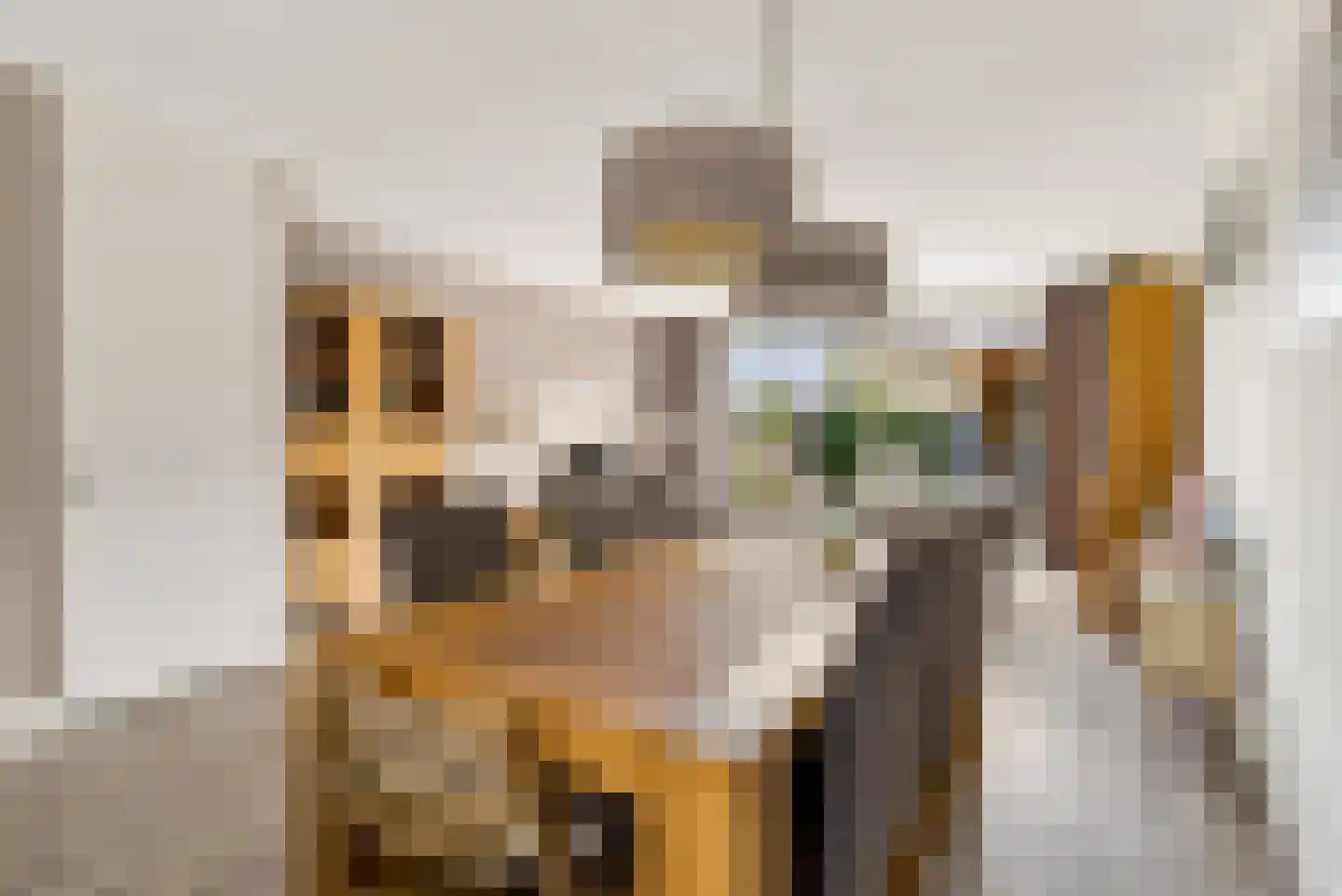 Briellestraat 44 Berkel en Rodenrijs thumbnail 17