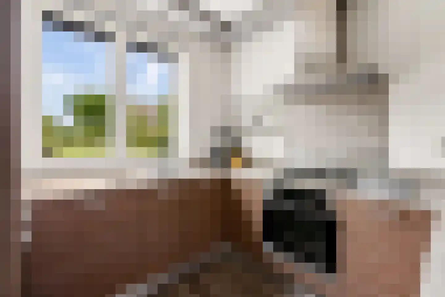 Briellestraat 44 Berkel en Rodenrijs thumbnail 18