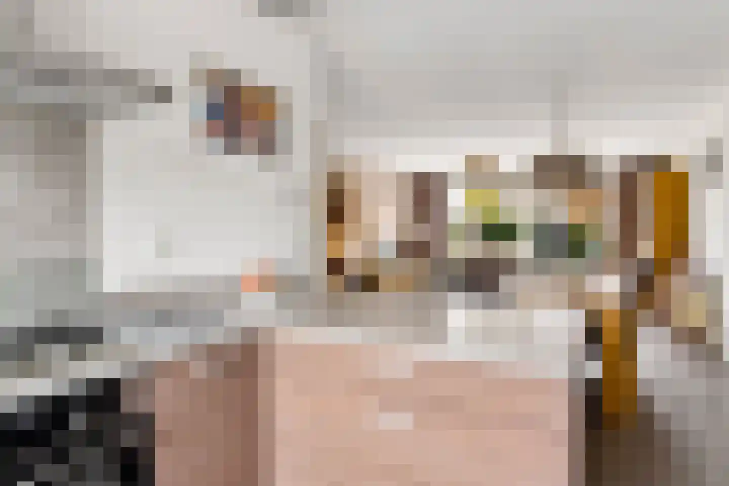 Briellestraat 44 Berkel en Rodenrijs thumbnail 19