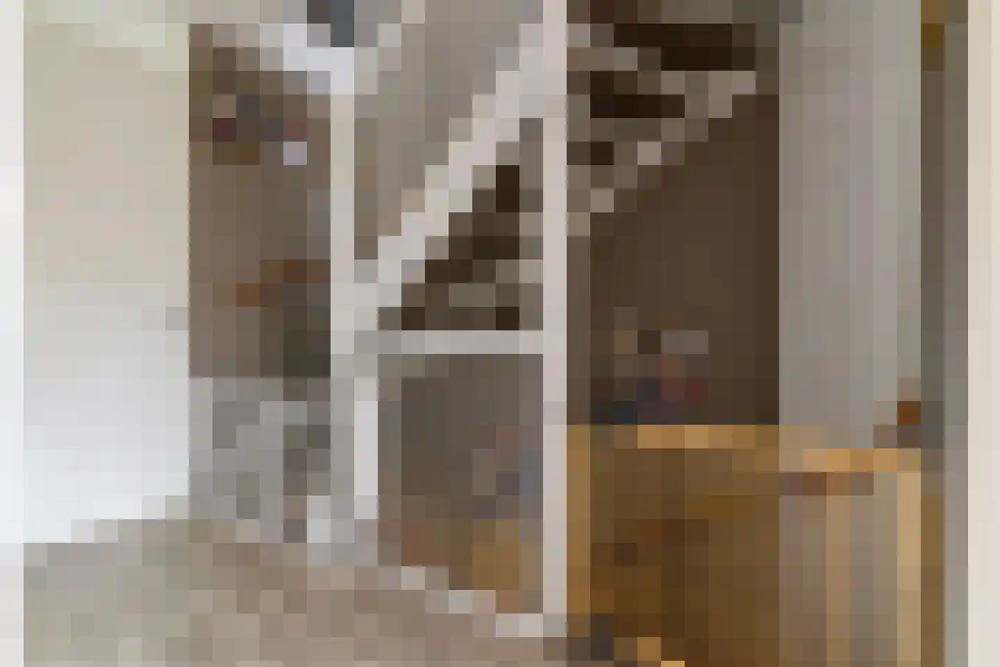 Briellestraat 44 Berkel en Rodenrijs thumbnail 22