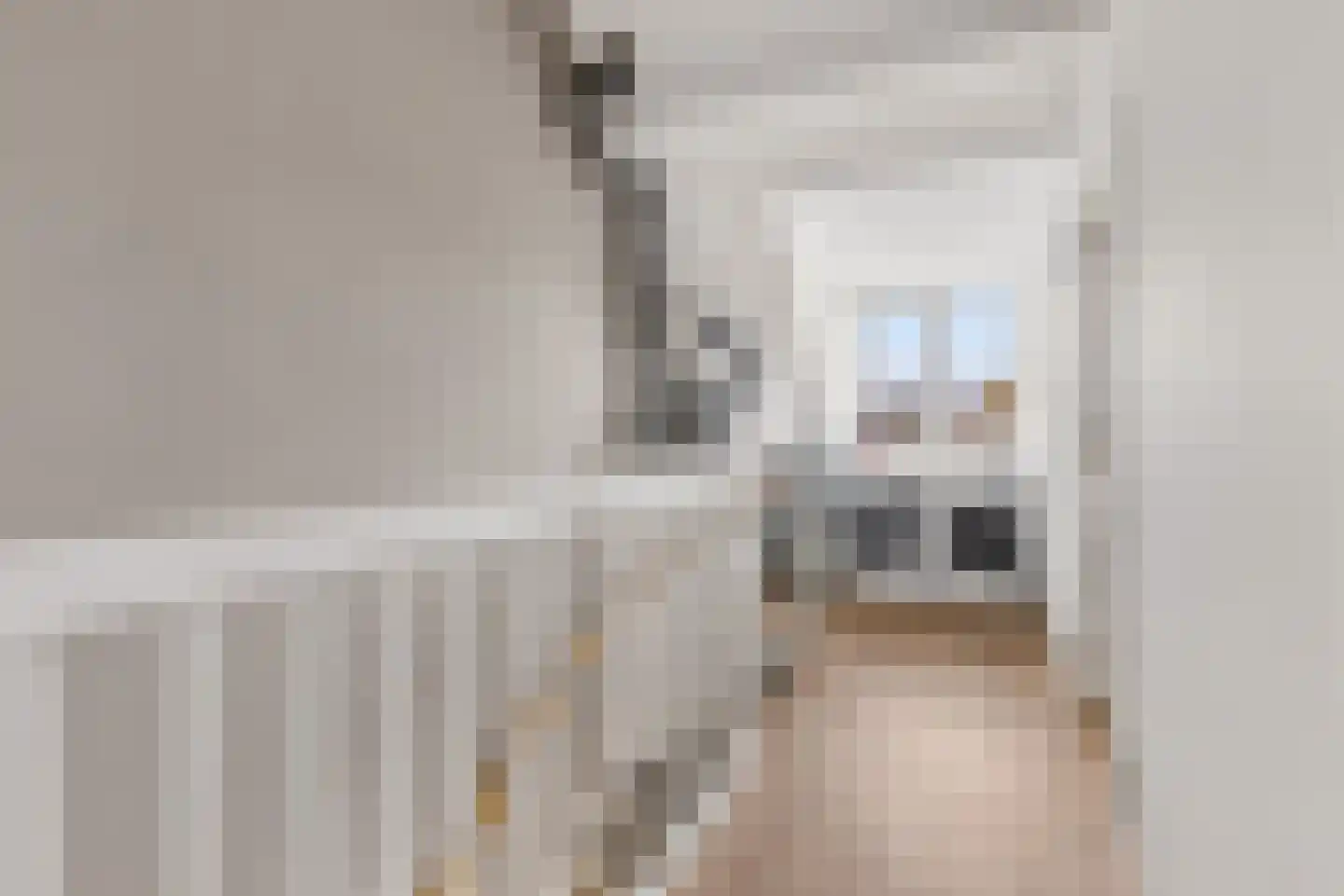 Briellestraat 44 Berkel en Rodenrijs thumbnail 34