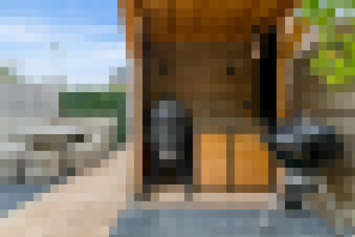 Briellestraat 44 Berkel en Rodenrijs thumbnail 39