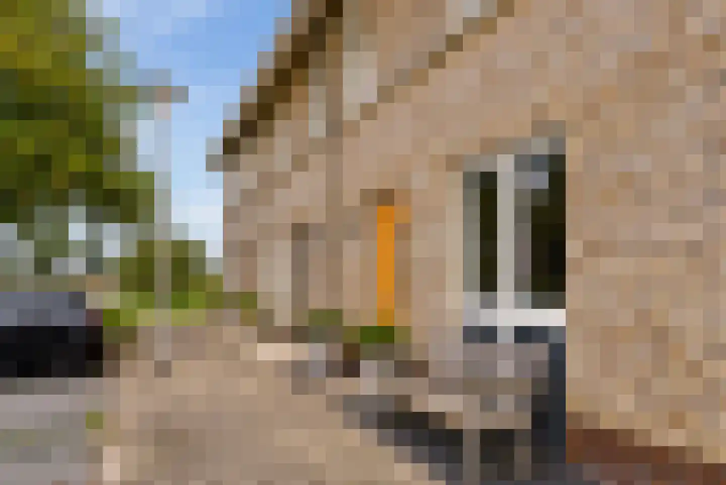 Briellestraat 44 Berkel en Rodenrijs thumbnail 42