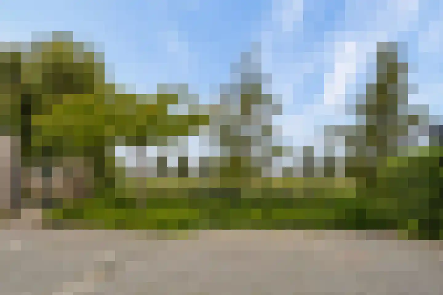 Briellestraat 44 Berkel en Rodenrijs thumbnail 45