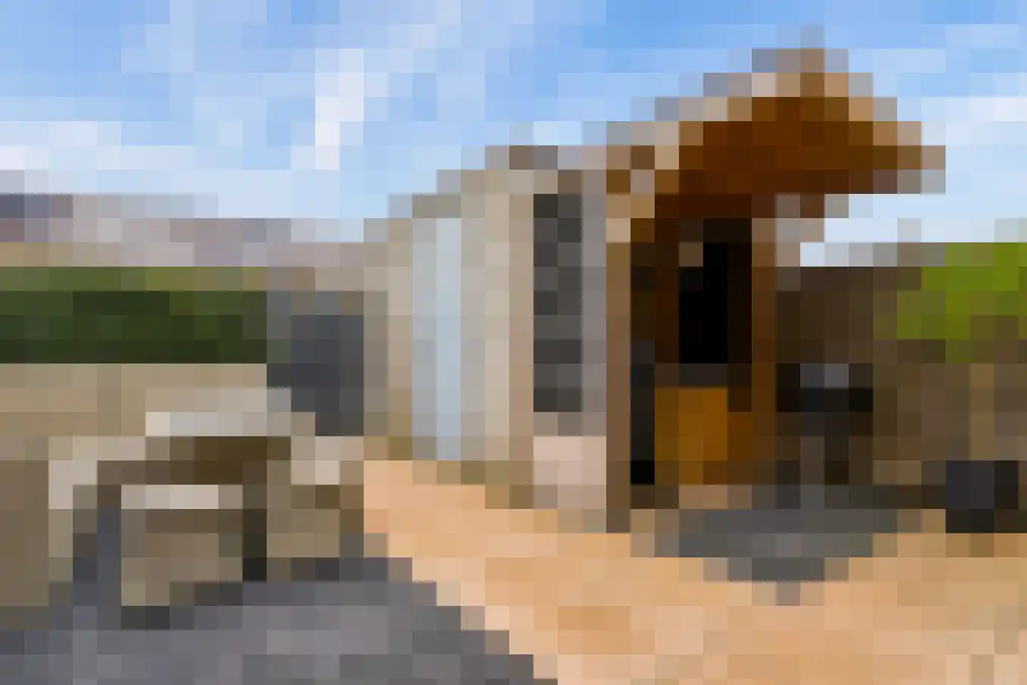 Briellestraat 44 Berkel en Rodenrijs thumbnail 5