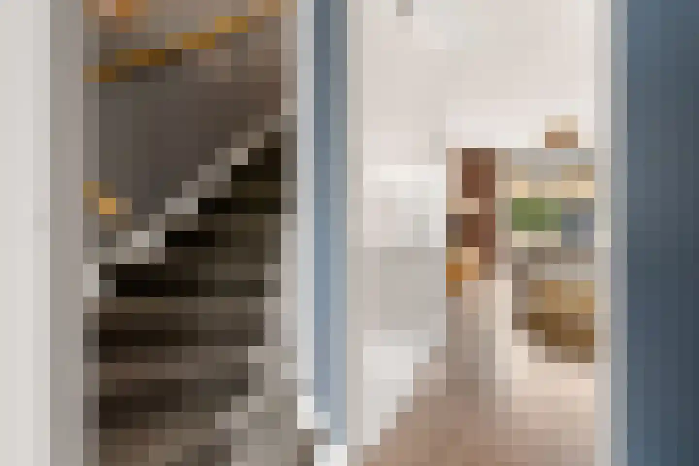 Briellestraat 44 Berkel en Rodenrijs thumbnail 8