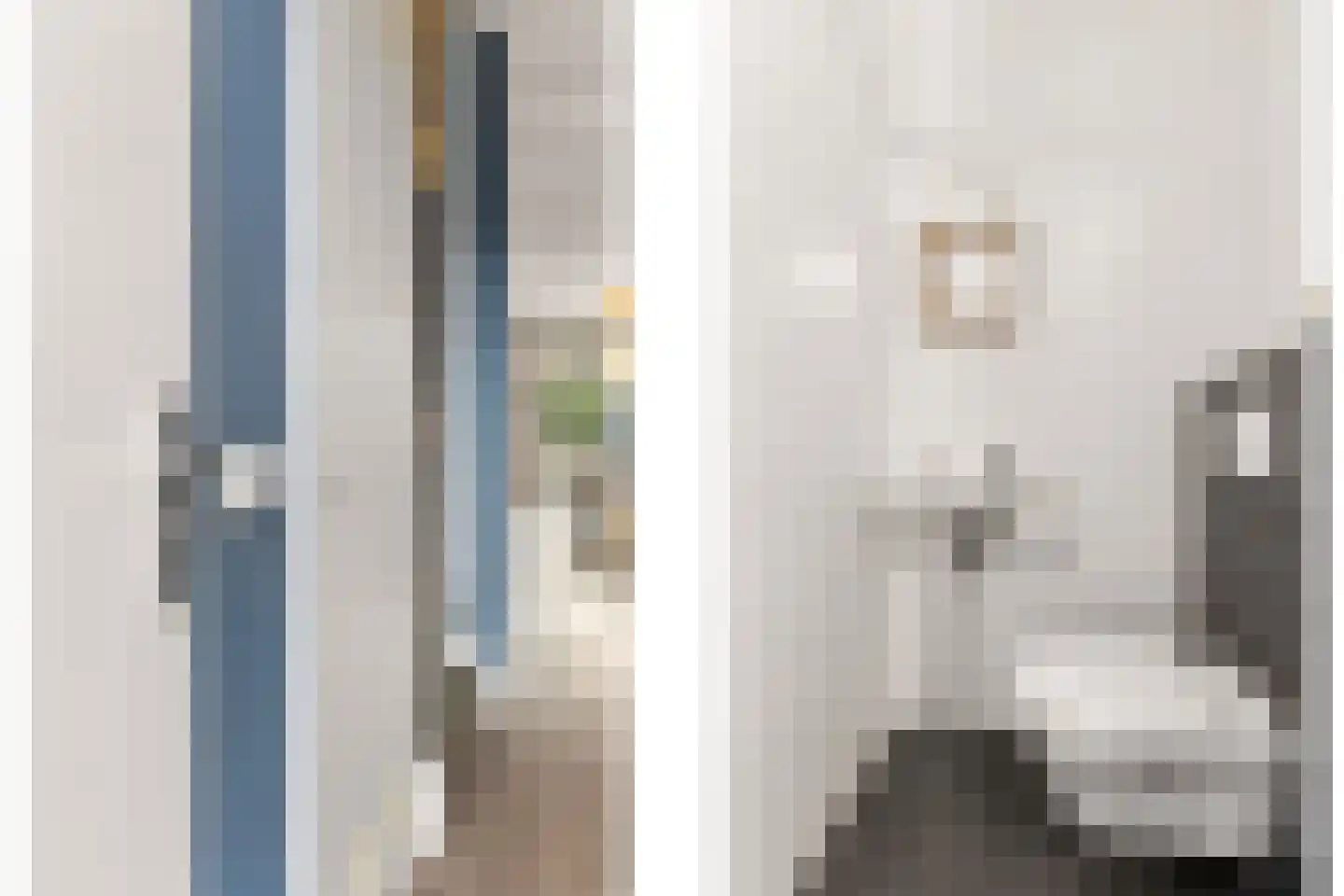 Briellestraat 44 Berkel en Rodenrijs thumbnail 9