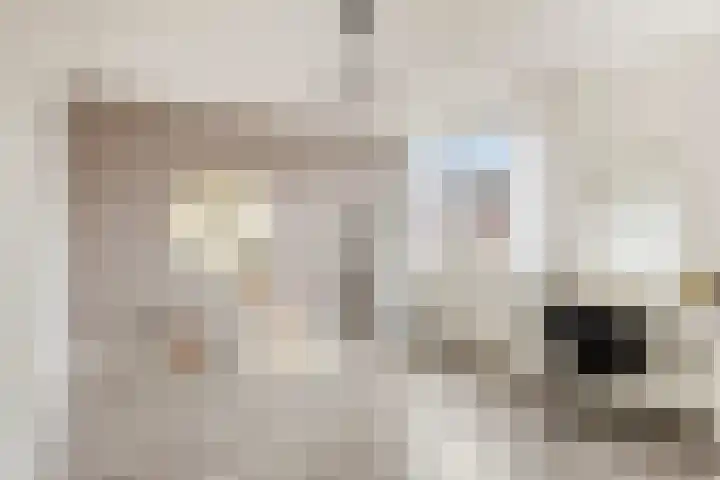 Brielse Meer 27 Zaandam thumbnail 21