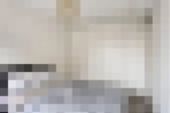 Brielse Meer 27 Zaandam thumbnail 24