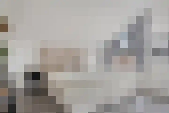 Brielse Meer 27 Zaandam thumbnail 30