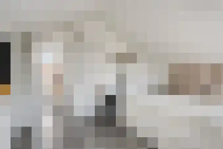Brielse Meer 27 Zaandam thumbnail 32