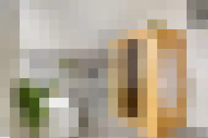 Brielse Meer 27 Zaandam thumbnail 33