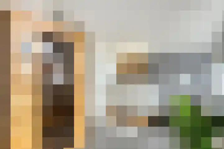 Brielse Meer 27 Zaandam thumbnail 34