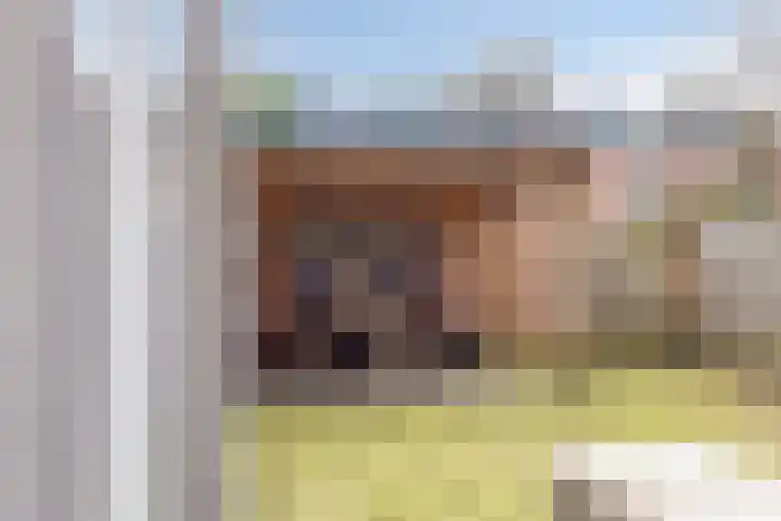 Brielse Meer 27 Zaandam thumbnail 38