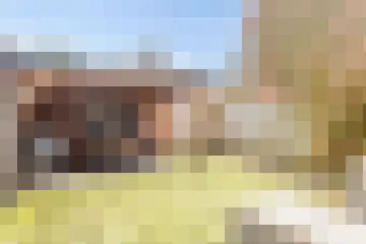 Brielse Meer 27 Zaandam thumbnail 39