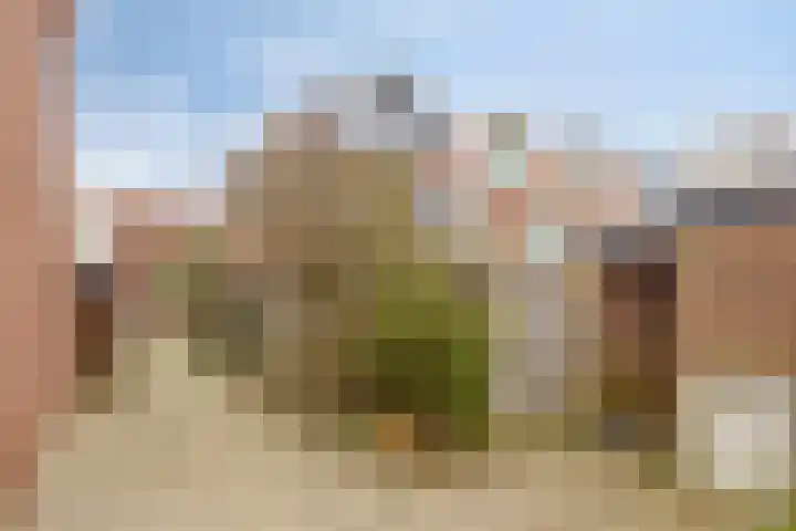 Brielse Meer 27 Zaandam thumbnail 45
