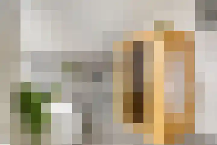 Brielse Meer 27 Zaandam thumbnail 5