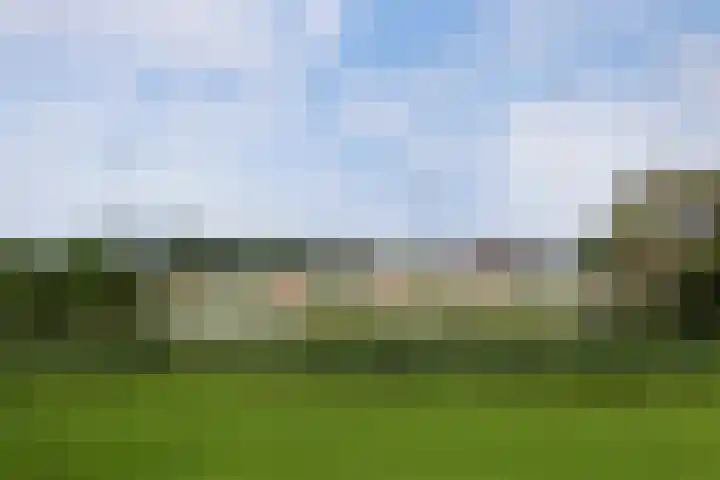 Brielse Meer 27 Zaandam thumbnail 53