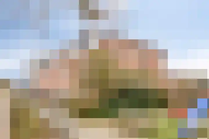 Brielse Meer 27 Zaandam thumbnail 6