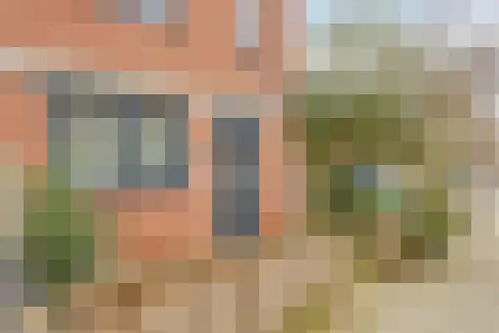 Brielse Meer 27 Zaandam thumbnail 8
