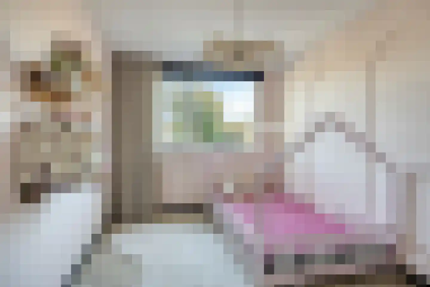 Brielse Meer 5 Zaandam thumbnail 23
