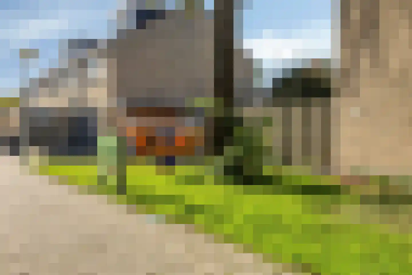 Brielse Meer 5 Zaandam thumbnail 37