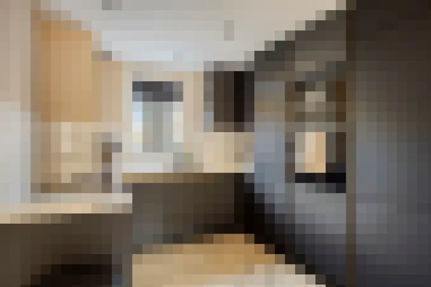 Brielse Meer 5 Zaandam thumbnail 4