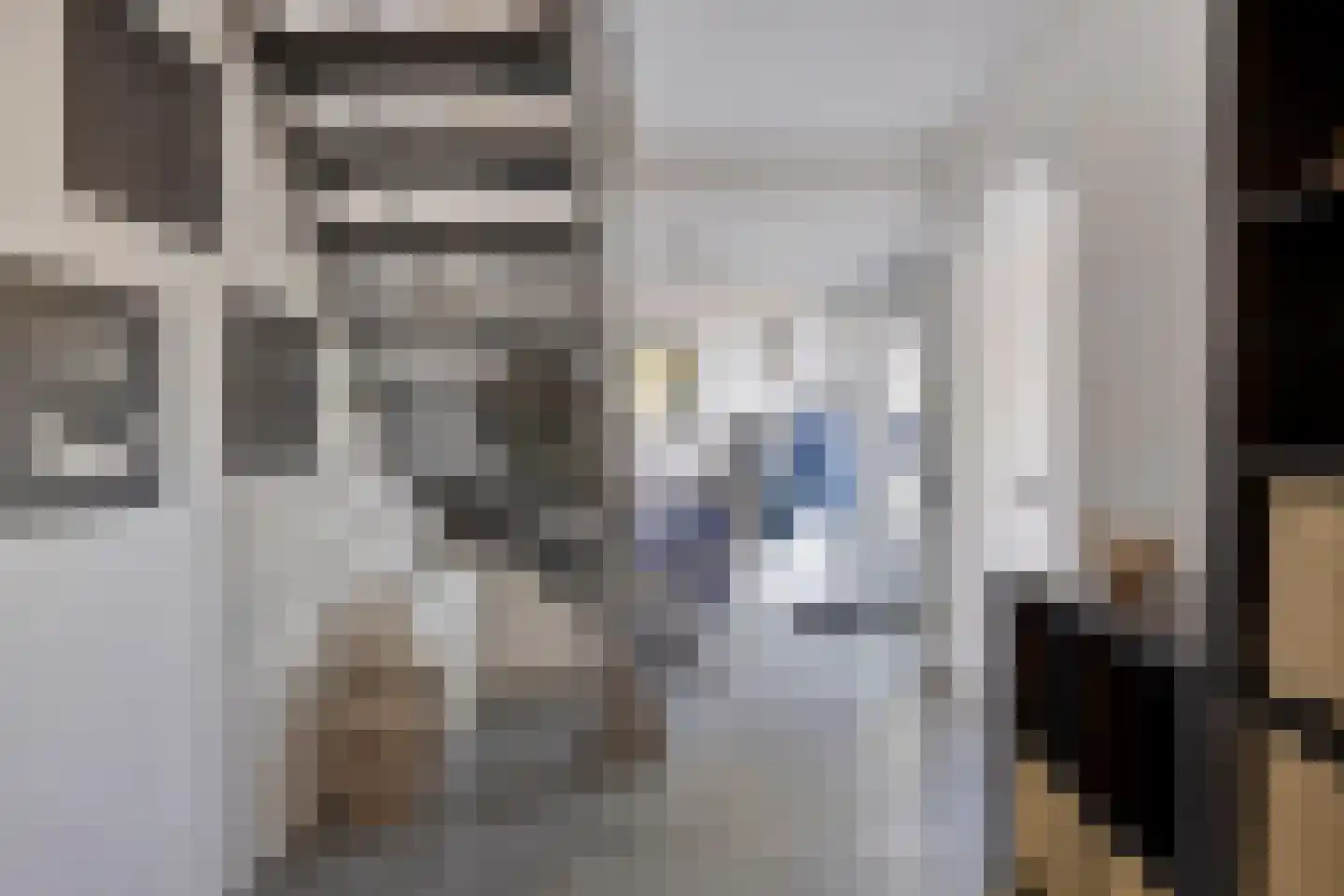 Brielsedreef 7 Prinsenbeek thumbnail 11