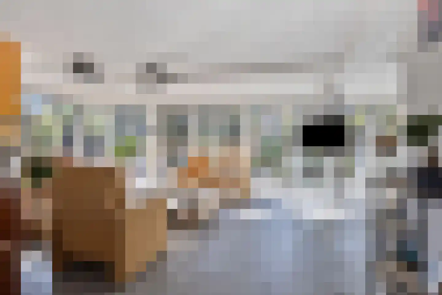 Brielsedreef 7 Prinsenbeek thumbnail 16
