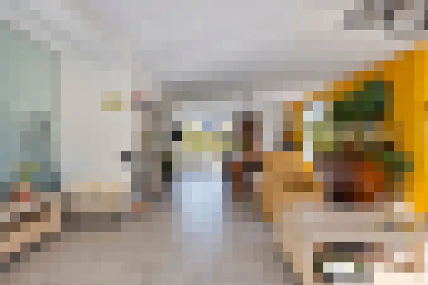 Brielsedreef 7 Prinsenbeek thumbnail 17