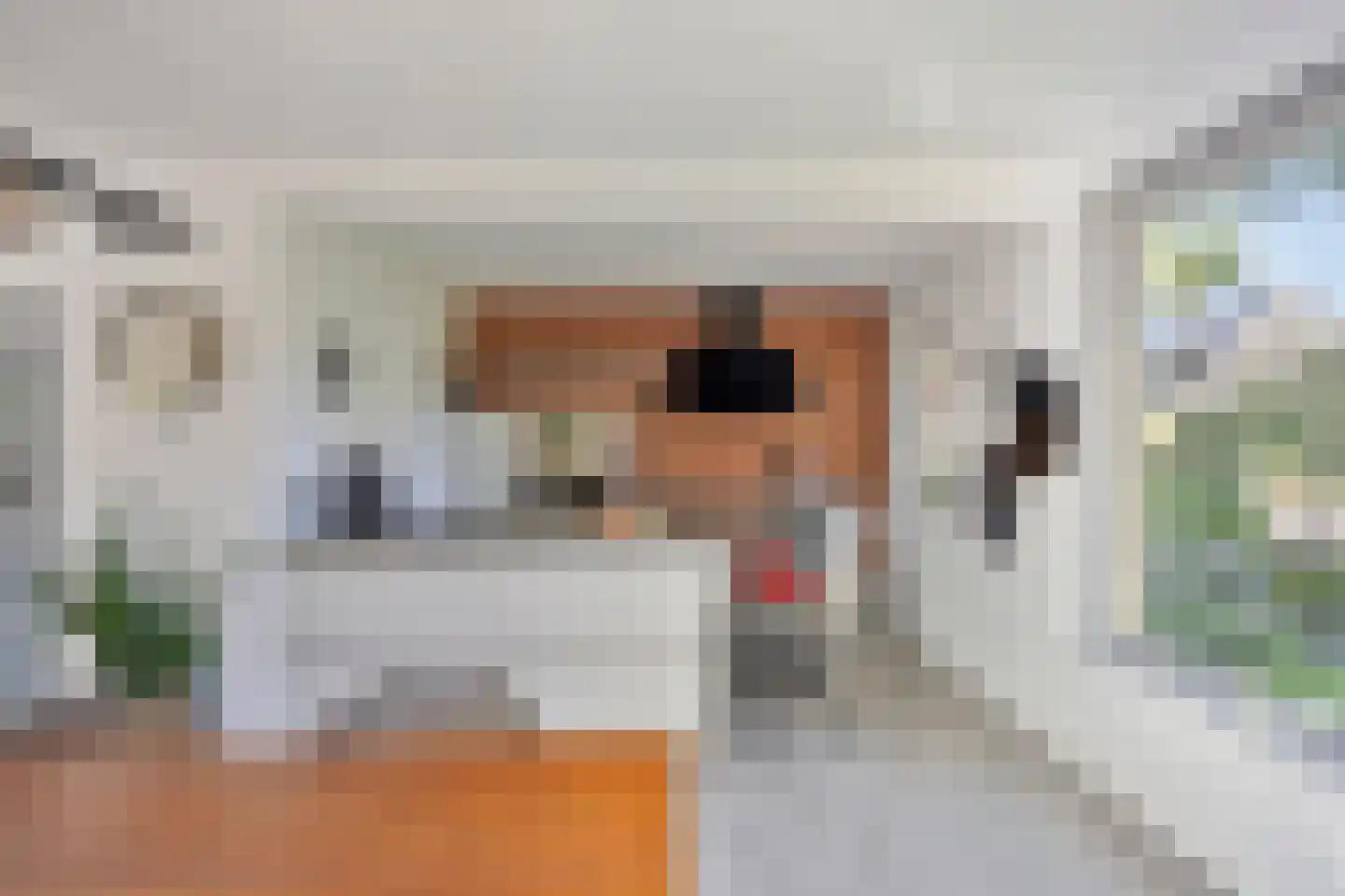 Brielsedreef 7 Prinsenbeek thumbnail 20