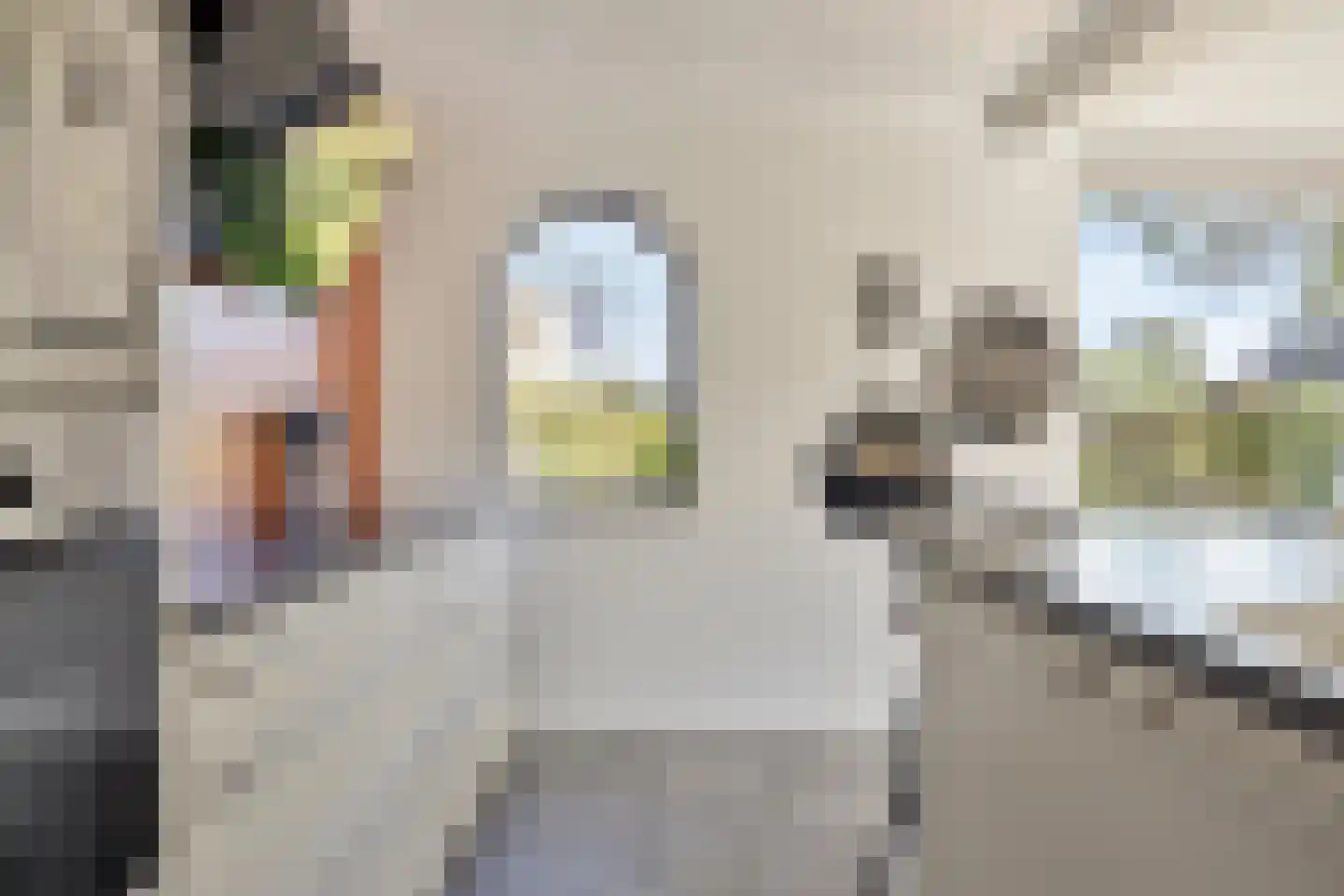 Brielsedreef 7 Prinsenbeek thumbnail 21