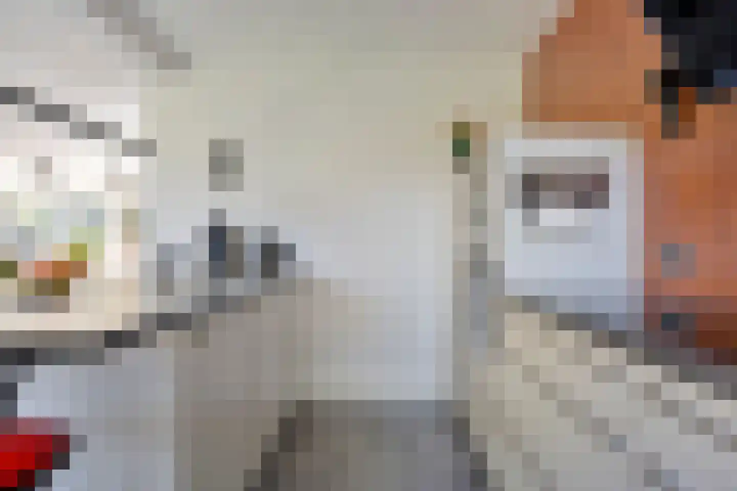 Brielsedreef 7 Prinsenbeek thumbnail 22