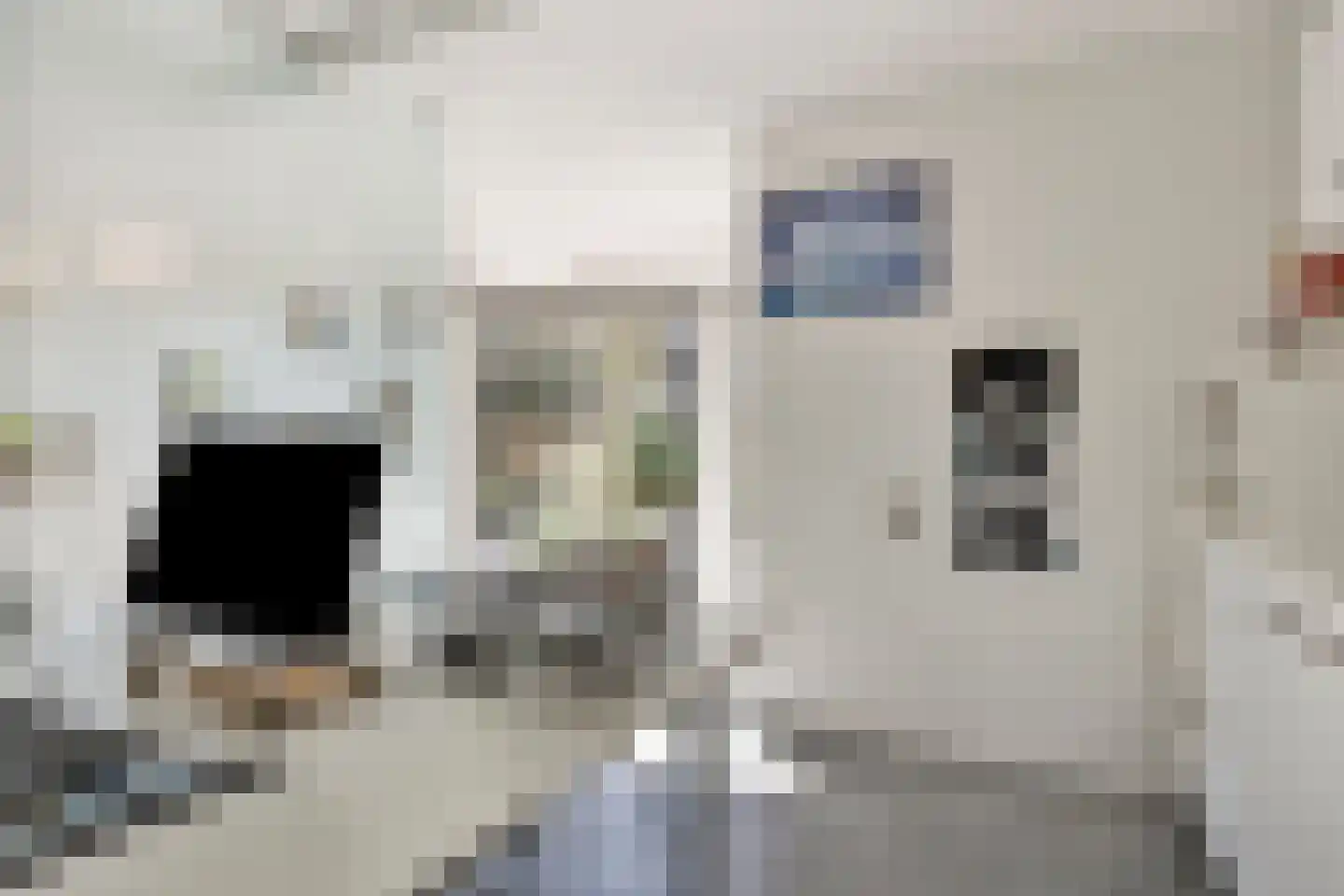 Brielsedreef 7 Prinsenbeek thumbnail 25