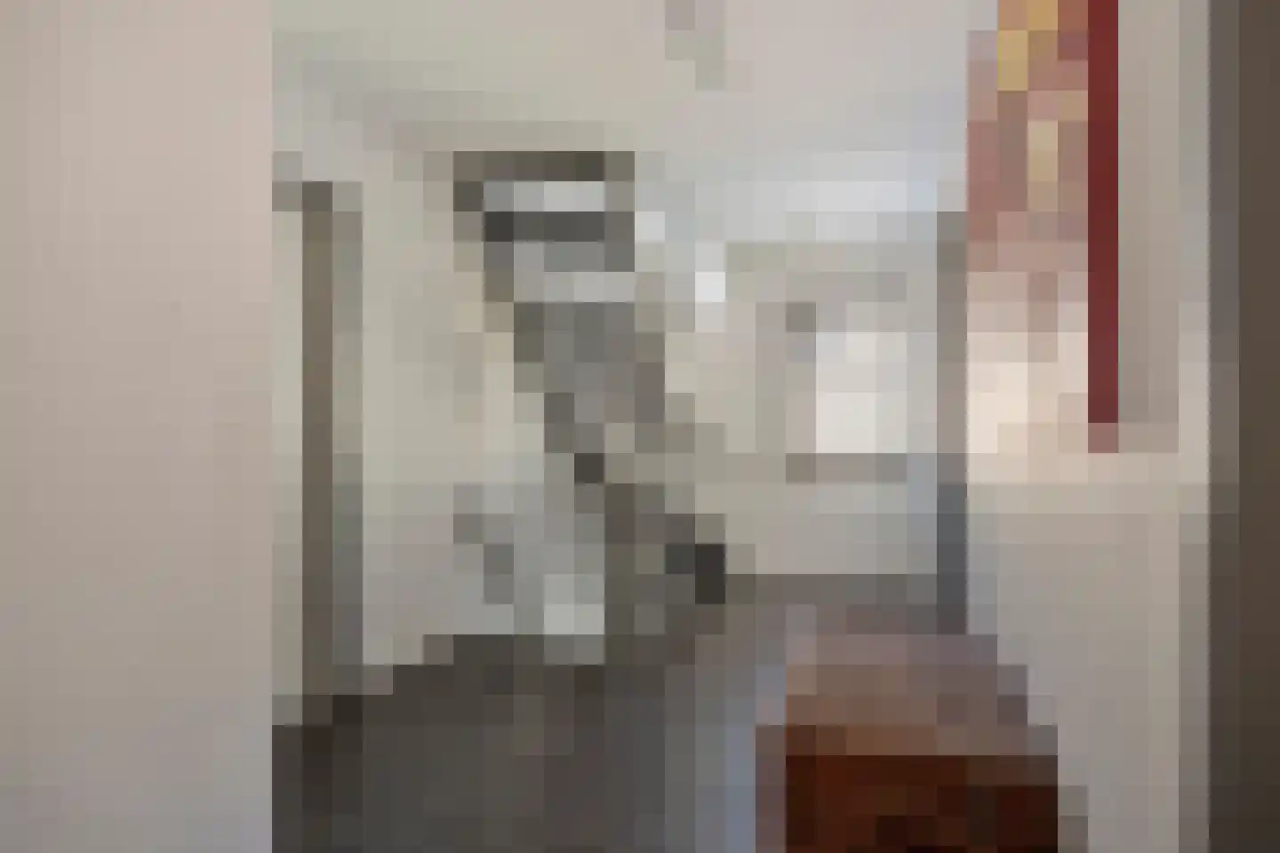Brielsedreef 7 Prinsenbeek thumbnail 28
