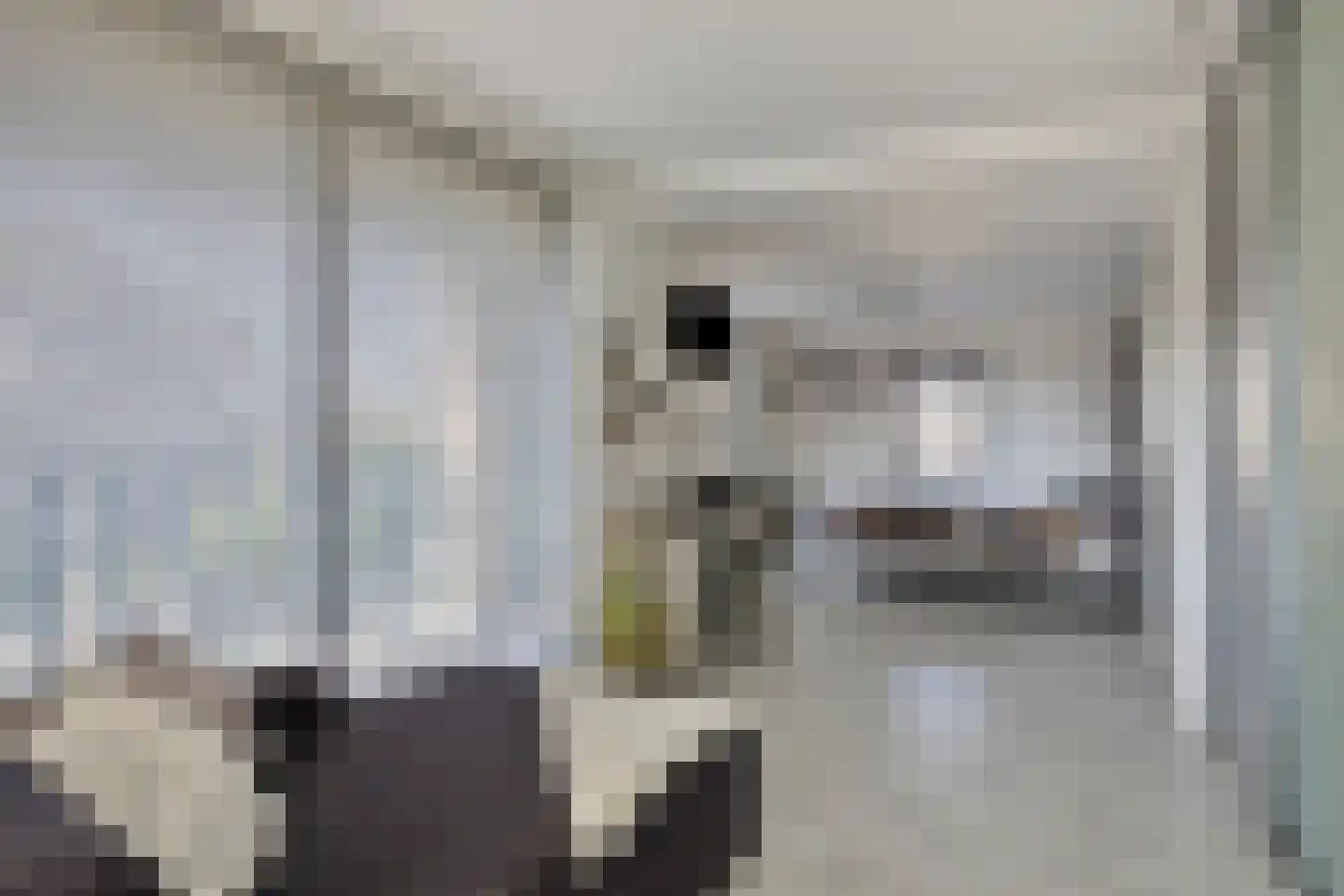Brielsedreef 7 Prinsenbeek thumbnail 29