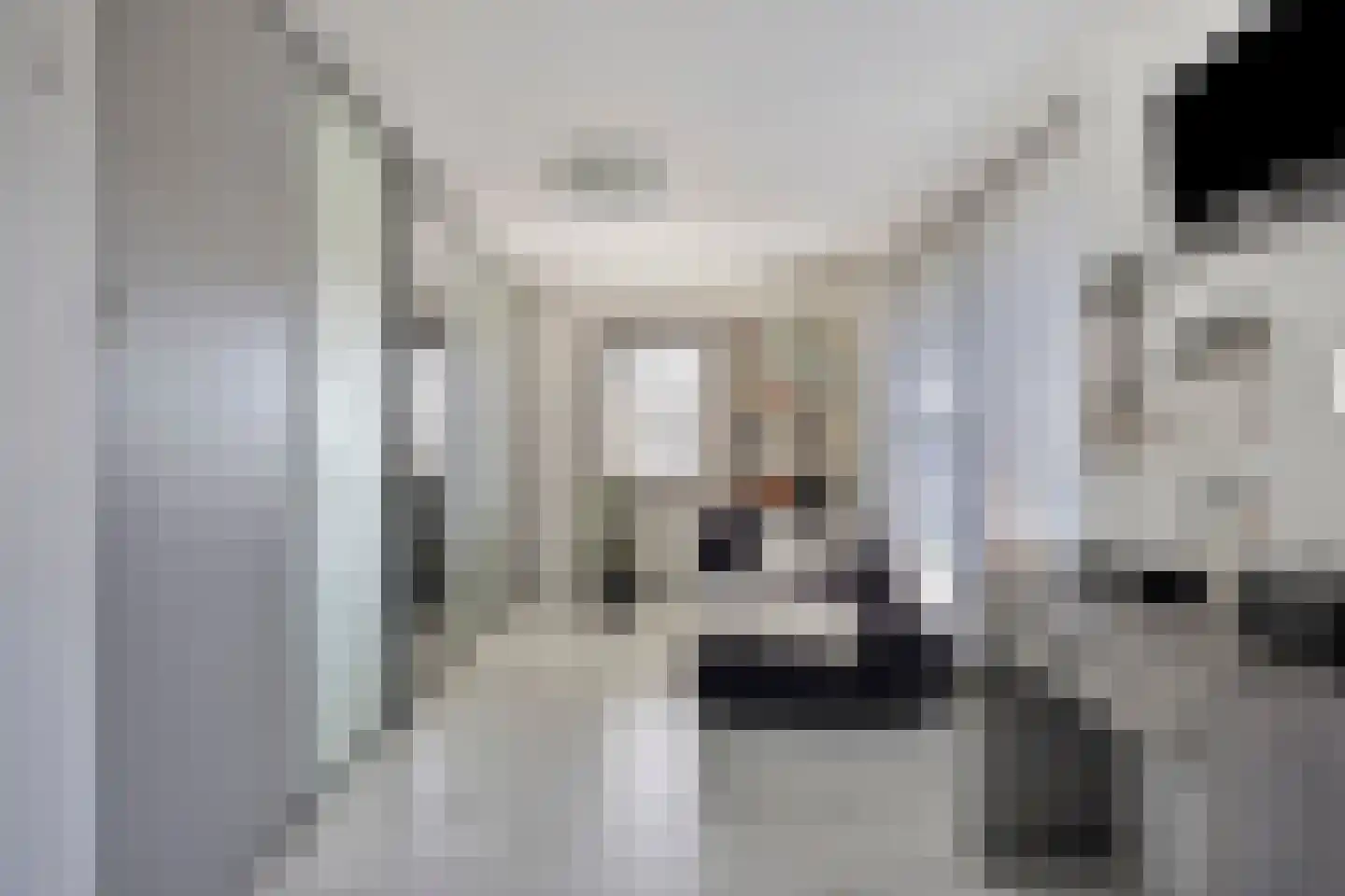 Brielsedreef 7 Prinsenbeek thumbnail 30