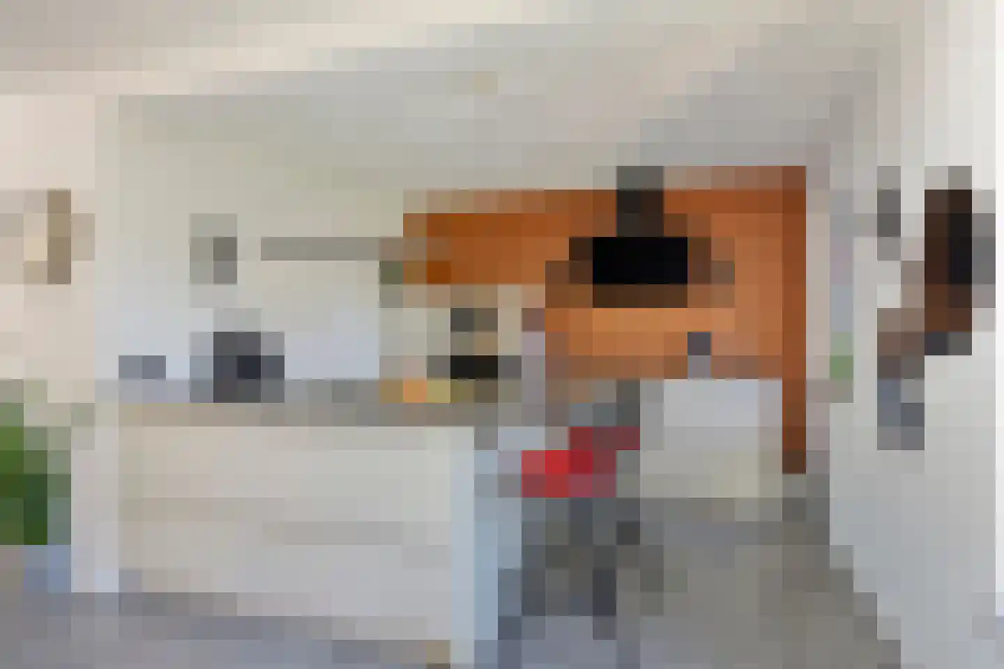 Brielsedreef 7 Prinsenbeek thumbnail 4
