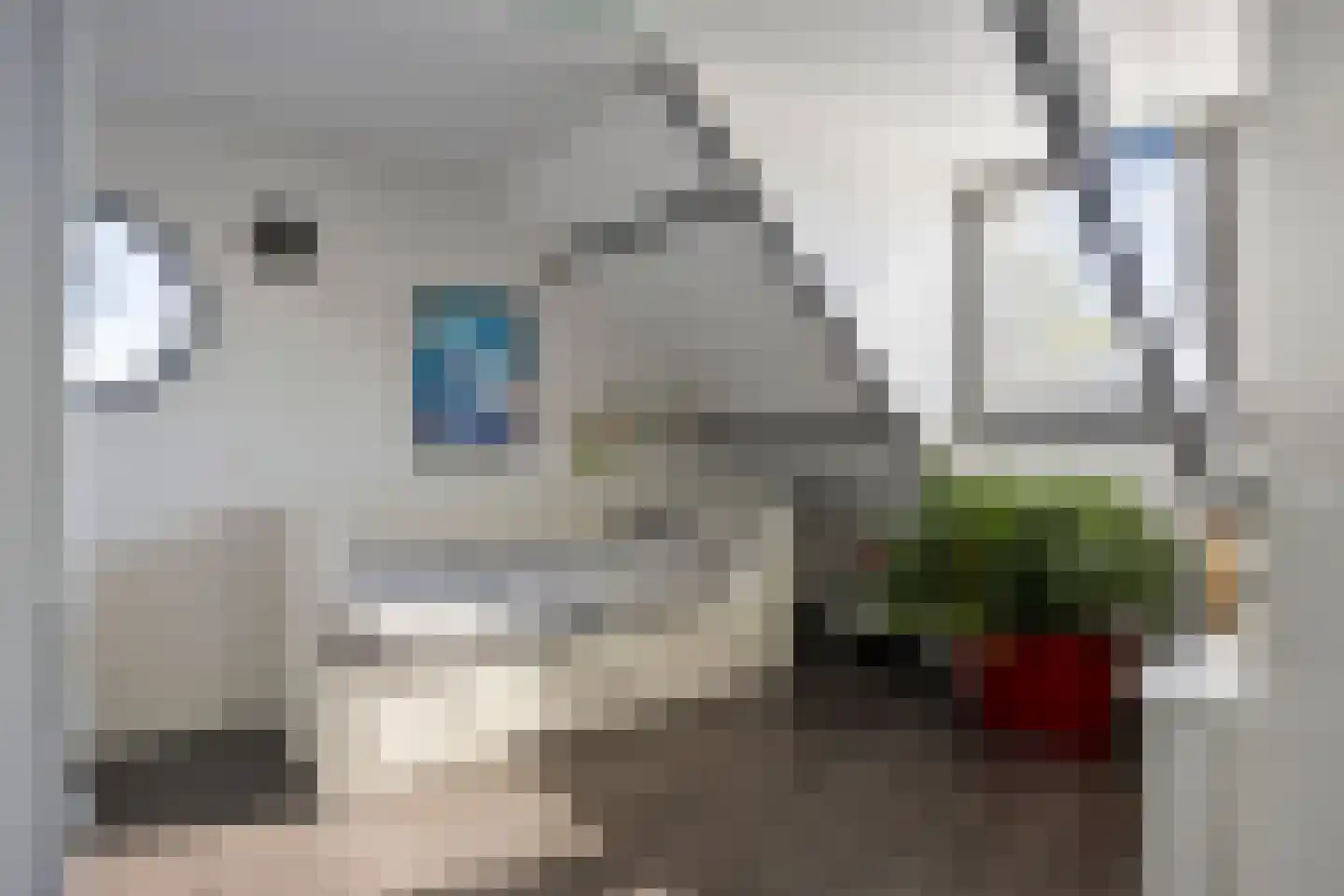Brielsedreef 7 Prinsenbeek thumbnail 48