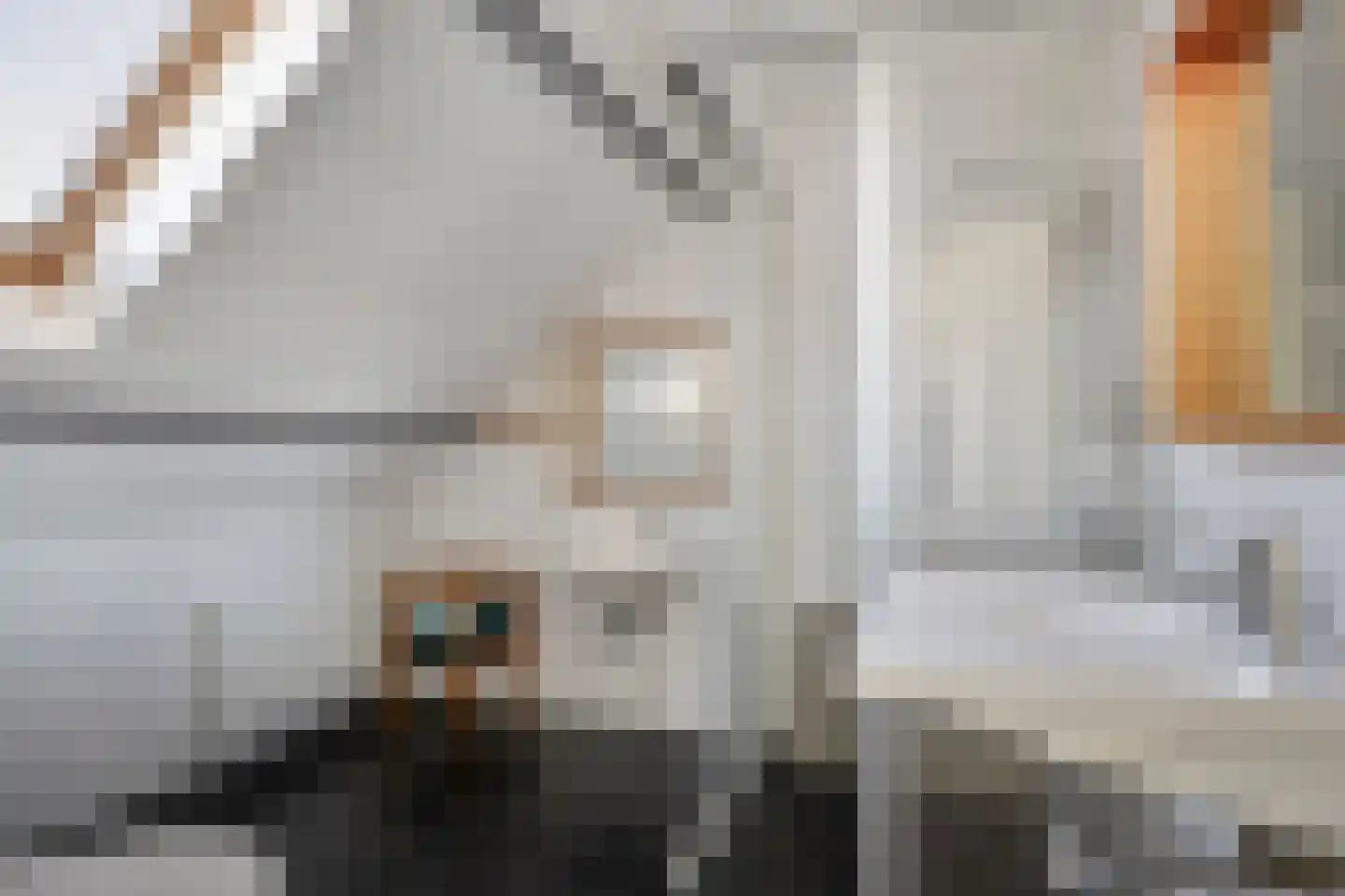 Brielsedreef 7 Prinsenbeek thumbnail 50