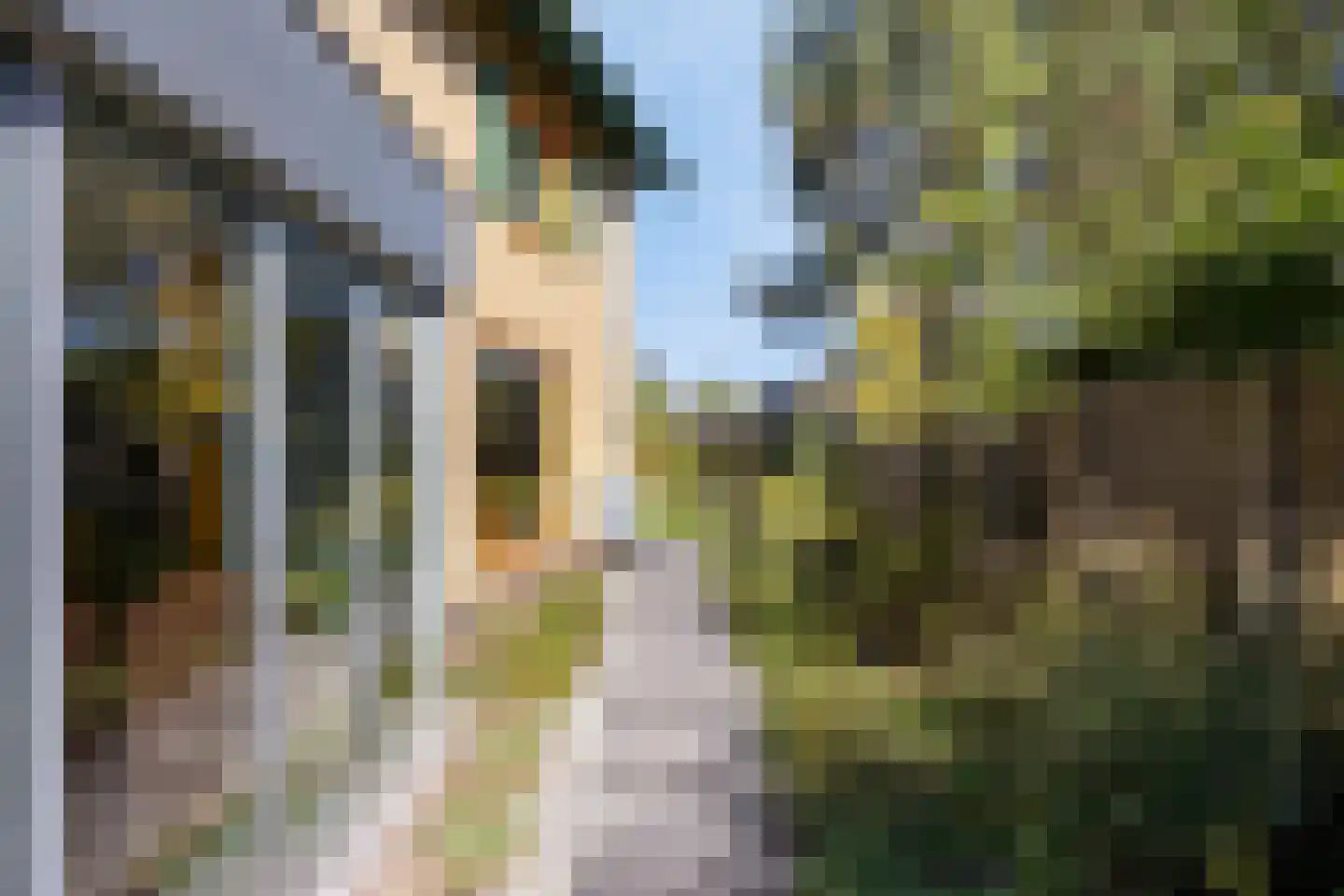 Brielsedreef 7 Prinsenbeek thumbnail 60