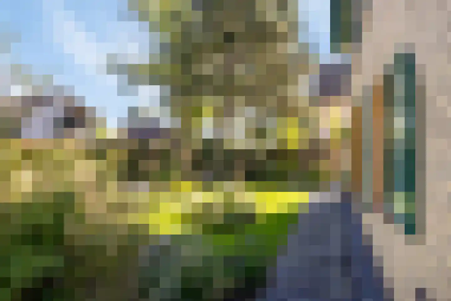 Brielsedreef 7 Prinsenbeek thumbnail 64