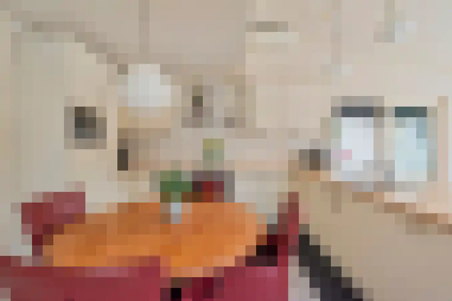 Brielsedreef 8 A Prinsenbeek thumbnail 10