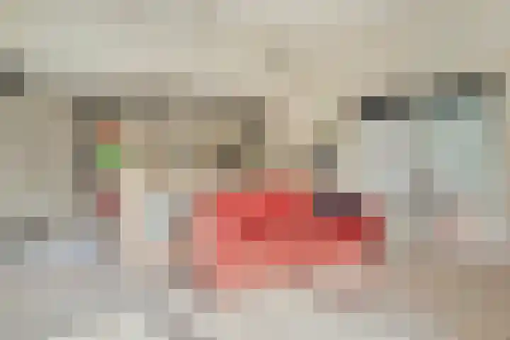 Brielsedreef 8 A Prinsenbeek thumbnail 11