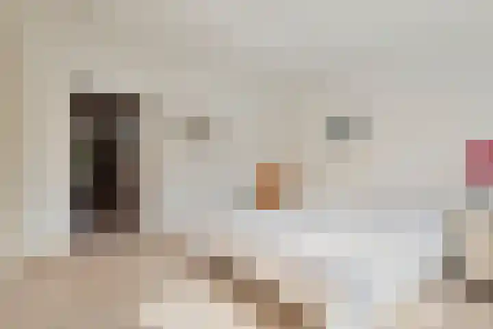 Brielsedreef 8 A Prinsenbeek thumbnail 14