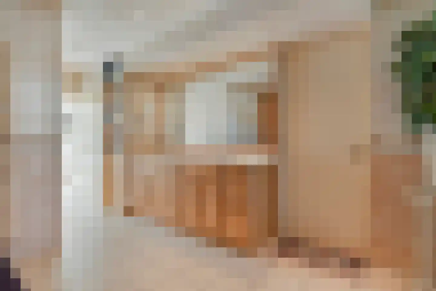 Brielsedreef 8 A Prinsenbeek thumbnail 15